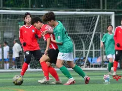 国际女足赛事：精彩内容吸引球迷目光