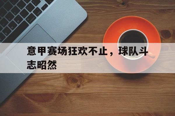 意甲球队大全